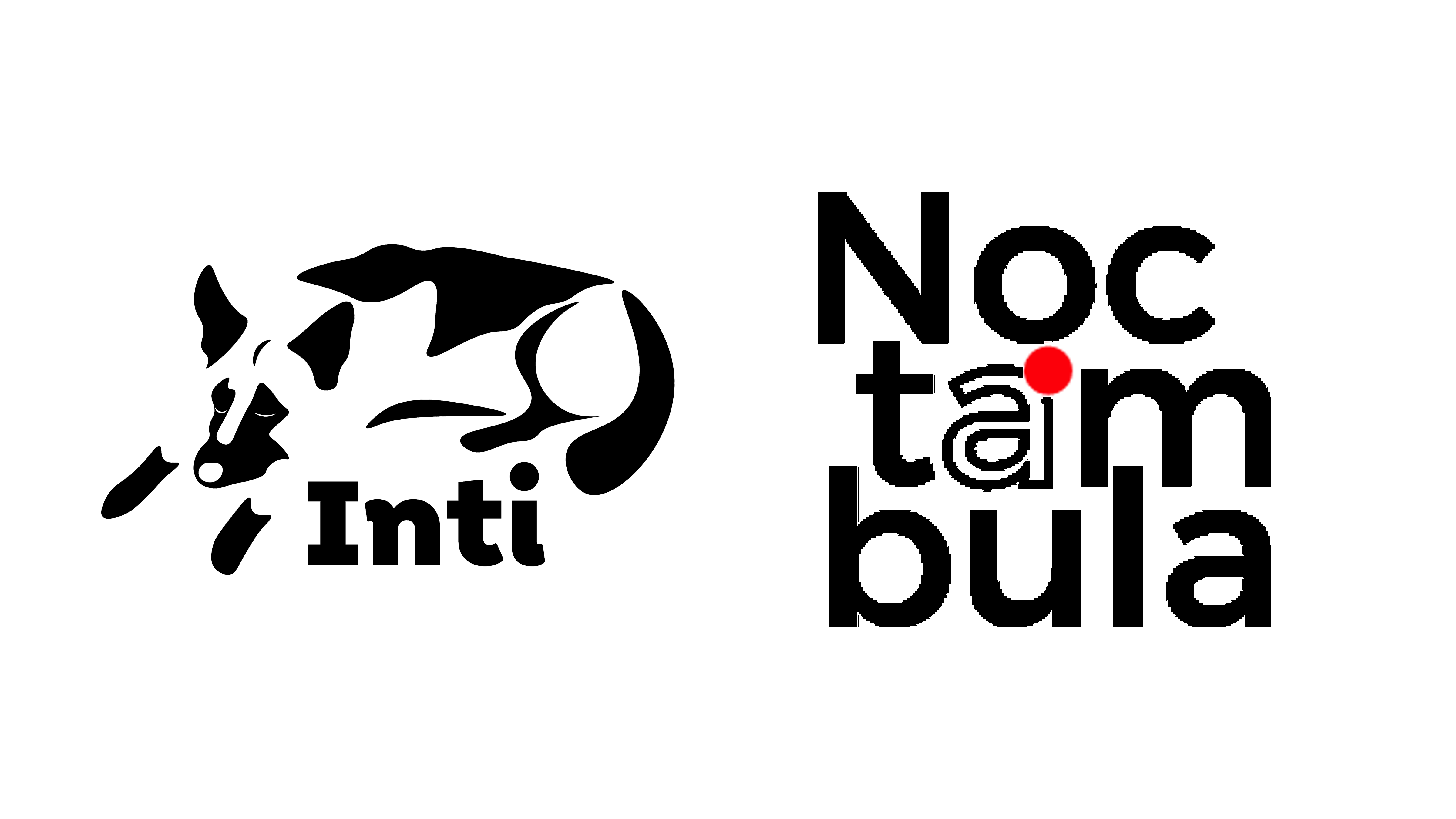 Logo de Inti / Noctambula